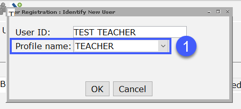 Profile name